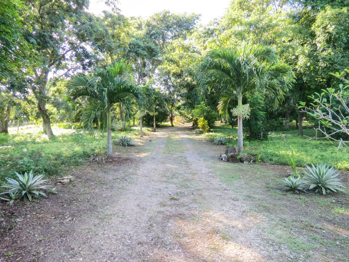 Villa Cabanas Calakmul à Conhuas Extérieur photo