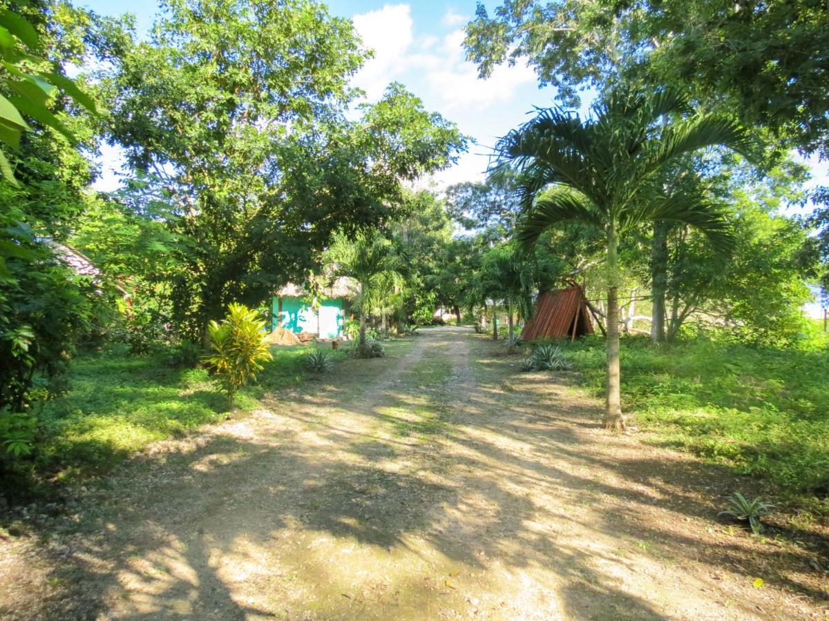 Villa Cabanas Calakmul à Conhuas Extérieur photo