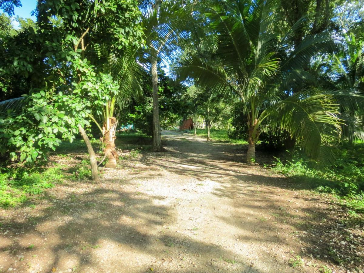 Villa Cabanas Calakmul à Conhuas Extérieur photo